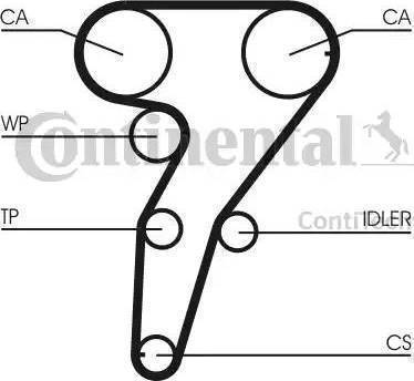 Continental CT918 - Cinghia dentata www.autoricambi360.it
