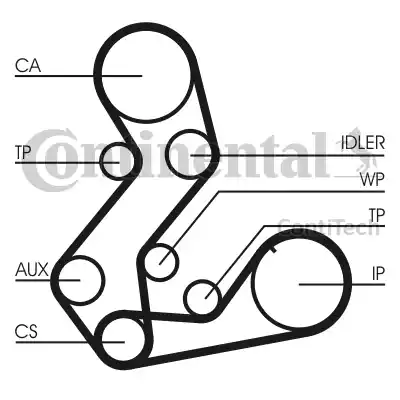 CONTINENTAL CT901(SET) - Cinghia dentata www.autoricambi360.it