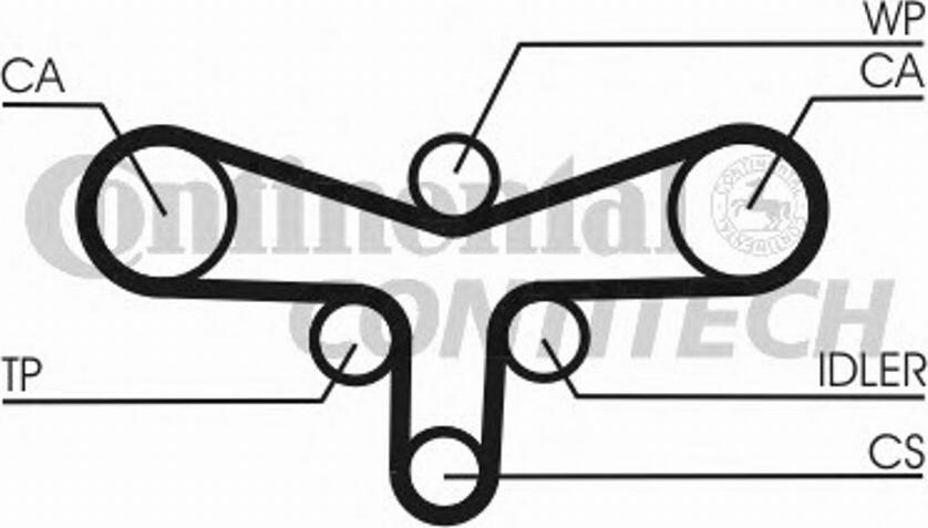 Continental CT984 - Cinghia dentata www.autoricambi360.it