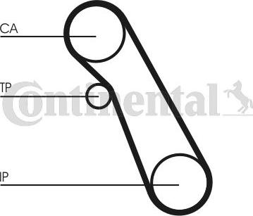 Continental CT 983 WP1 - Pompa acqua + Kit cinghie dentate www.autoricambi360.it