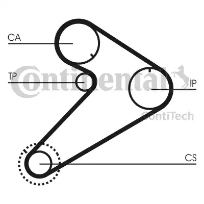 CONTINENTAL CT921WP1 - Pompa acqua + Kit cinghie dentate www.autoricambi360.it