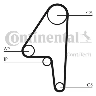 CONTINENTAL CT591 - Cinghia dentata www.autoricambi360.it