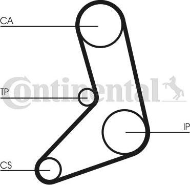 CONTINENTAL CT542 - Cinghia dentata www.autoricambi360.it