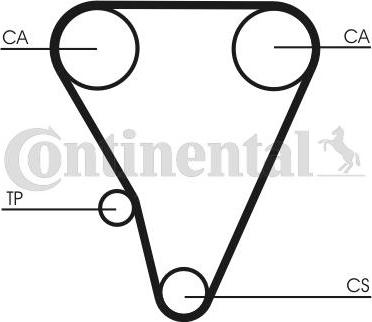 CONTINENTAL CT555 - Cinghia dentata www.autoricambi360.it
