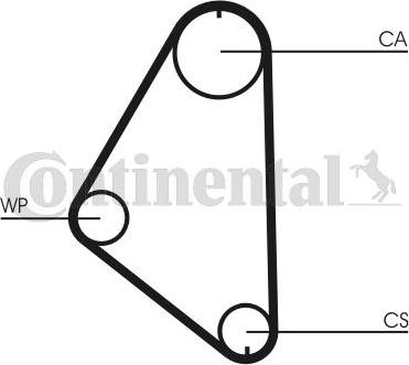 CONTINENTAL CT558WP1 - Pompa acqua + Kit cinghie dentate www.autoricambi360.it