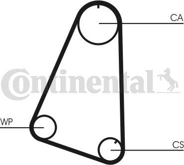 Continental CT504WP1 - Pompa acqua + Kit cinghie dentate www.autoricambi360.it