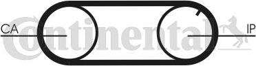 CONTINENTAL CT704K2PRO - Kit cinghie dentate www.autoricambi360.it