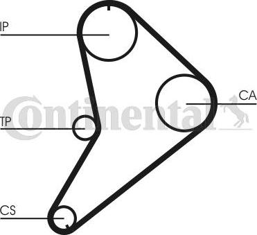 CONTINENTAL CT663 - Cinghia dentata www.autoricambi360.it