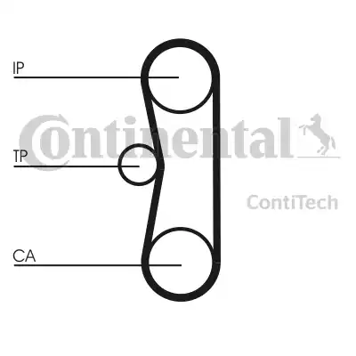 CONTINENTAL CT 662 - Cinghia dentata www.autoricambi360.it