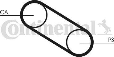 CONTINENTAL CT667 - Cinghia dentata www.autoricambi360.it