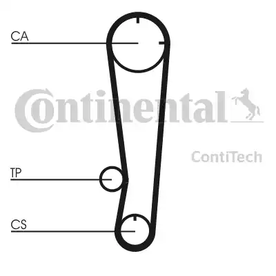 CONTINENTAL CT603 - Cinghia dentata www.autoricambi360.it
