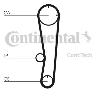 CONTINENTAL CT602 - Cinghia dentata www.autoricambi360.it