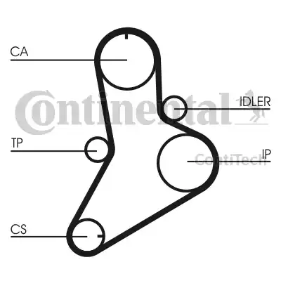 CONTINENTAL CT612 - Cinghia dentata www.autoricambi360.it