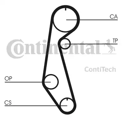 CONTINENTAL CT679 - Cinghia dentata www.autoricambi360.it