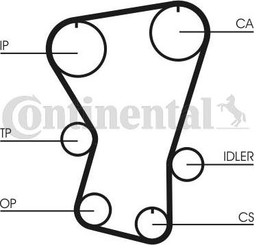 CONTINENTAL CT677 - Cinghia dentata www.autoricambi360.it