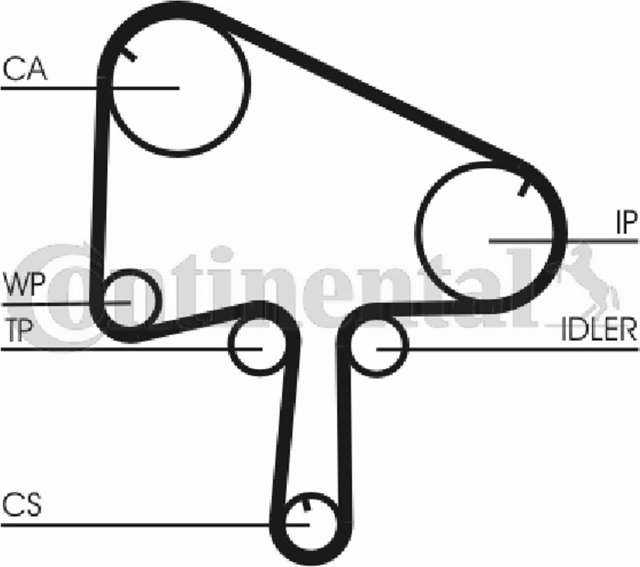 CONTINENTAL CT 1098 - Cinghia dentata www.autoricambi360.it