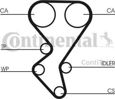 CONTINENTAL CT1092 - Cinghia dentata www.autoricambi360.it