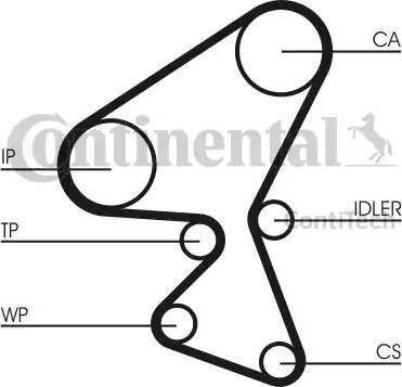 CONTINENTAL CT1092 - Cinghia dentata www.autoricambi360.it
