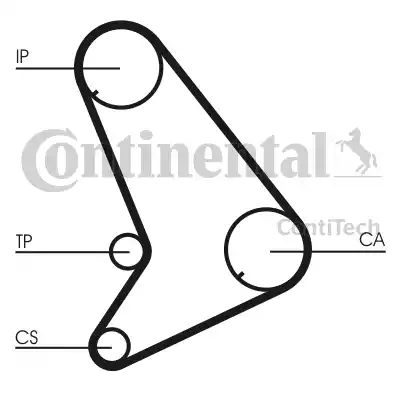 CONTINENTAL CT 983 - Cinghia dentata www.autoricambi360.it