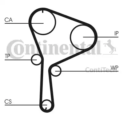 CONTINENTAL CT1064K1 - Kit cinghie dentate www.autoricambi360.it