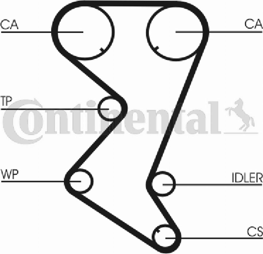 Continental CT1003 - Cinghia dentata www.autoricambi360.it
