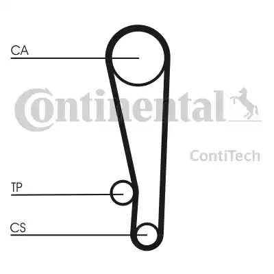 CONTINENTAL CT1013K1 - Kit cinghie dentate www.autoricambi360.it
