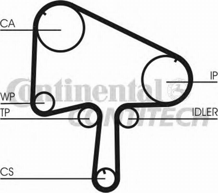 CONTINENTAL CT 1129 - Cinghia dentata www.autoricambi360.it