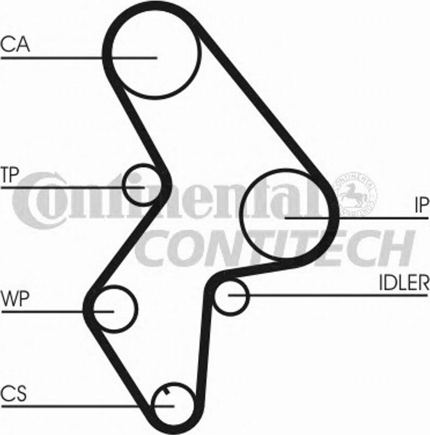 CONTINENTAL CT1031K2 - Kit cinghie dentate www.autoricambi360.it