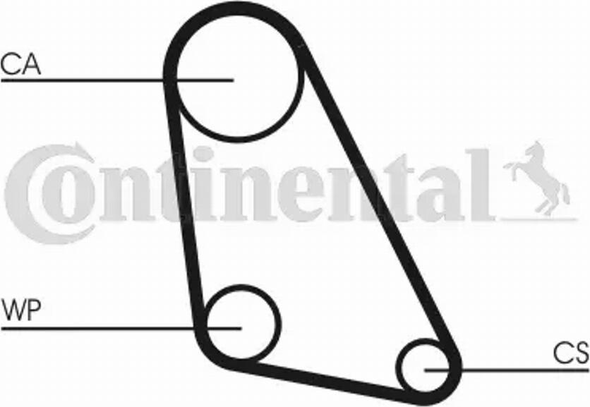 Continental CT1077K1 - Kit cinghie dentate www.autoricambi360.it
