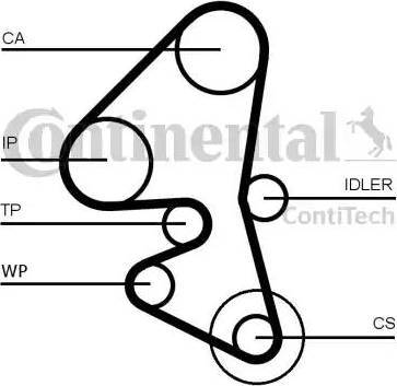 CONTINENTAL CT 1163 - Cinghia dentata www.autoricambi360.it
