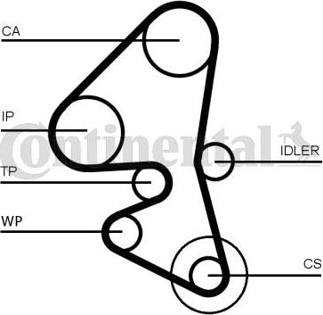 CONTINENTAL CT1162WP1 - Pompa acqua + Kit cinghie dentate www.autoricambi360.it