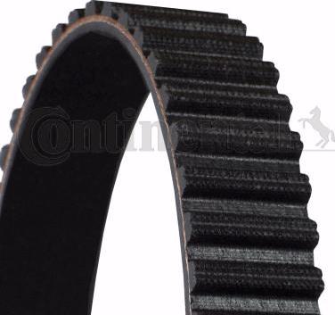 Continental CT954 - Cinghia dentata www.autoricambi360.it