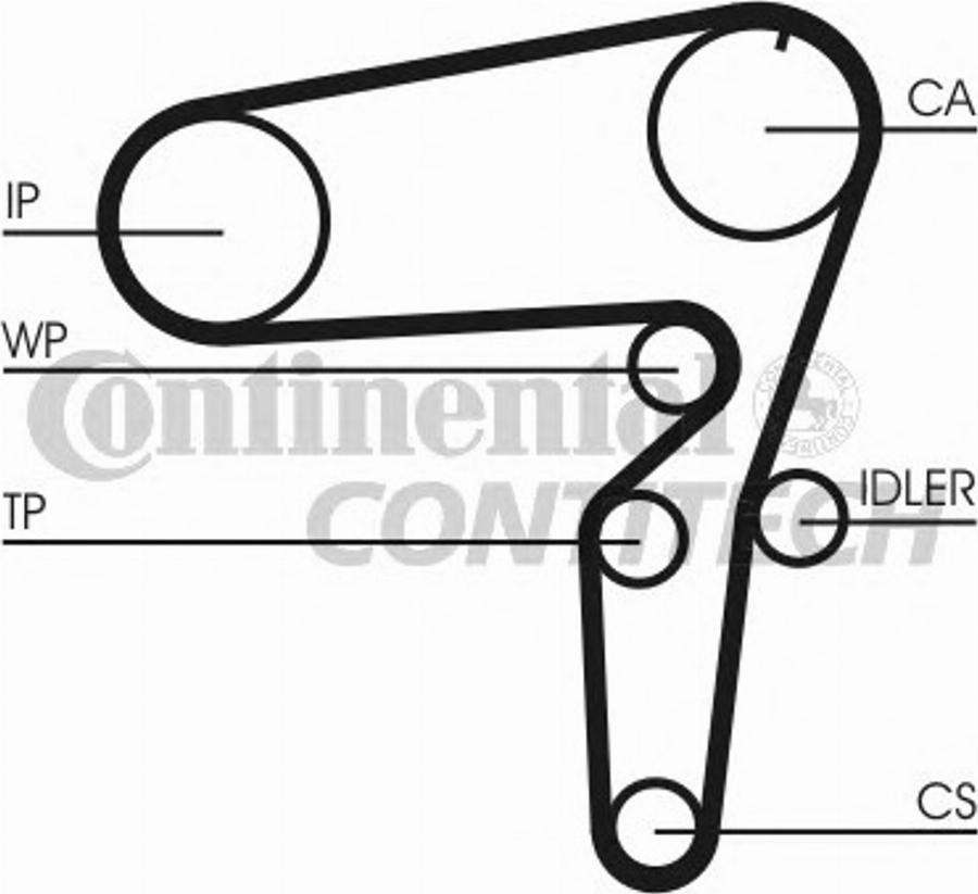 CONTINENTAL CT1105WP1 - Pompa acqua + Kit cinghie dentate www.autoricambi360.it