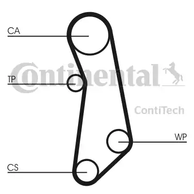 CONTINENTAL CT1115 - Cinghia dentata www.autoricambi360.it