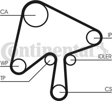 CONTINENTAL CT1136WP1 - Pompa acqua + Kit cinghie dentate www.autoricambi360.it