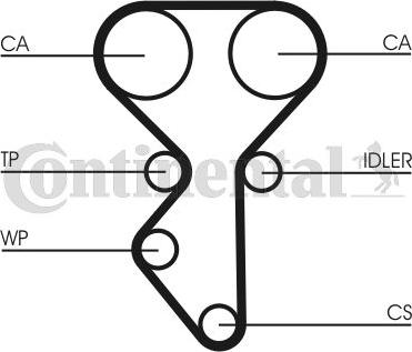 Continental CT 1137 WP1 - Pompa acqua + Kit cinghie dentate www.autoricambi360.it