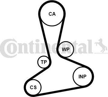 Continental CT1242WP1 - Pompa acqua + Kit cinghie dentate www.autoricambi360.it
