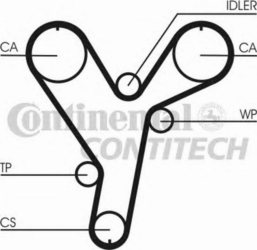 Continental CT858 - Cinghia dentata www.autoricambi360.it