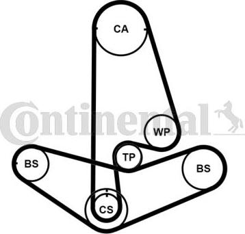 CONTINENTAL CT799K2PRO - Kit cinghie dentate www.autoricambi360.it