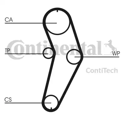 Continental CT709WP2 - Pompa acqua + Kit cinghie dentate www.autoricambi360.it