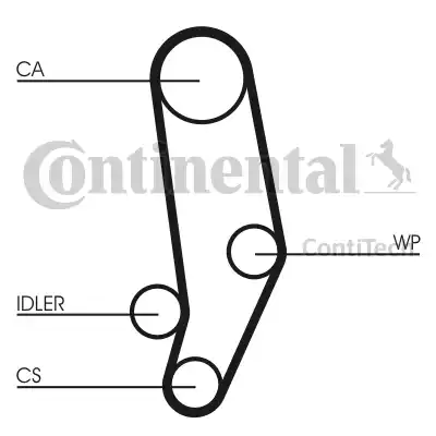 CONTINENTAL CT704K1 - Kit cinghie dentate www.autoricambi360.it