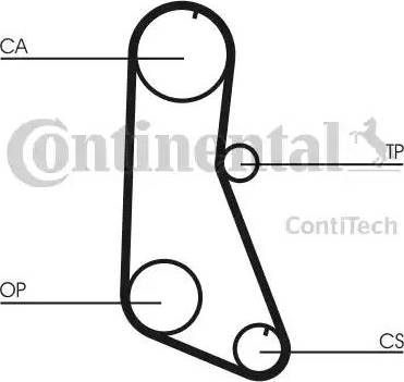 CONTINENTAL CT716 - Cinghia dentata www.autoricambi360.it