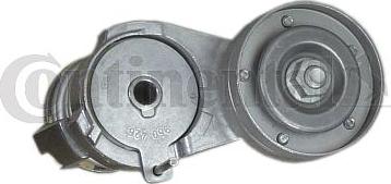 CONTINENTAL V85562 - Galoppino / Guidacinghia, Cinghia Poly-V www.autoricambi360.it