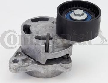 CONTINENTAL V85584 - Galoppino / Guidacinghia, Cinghia Poly-V www.autoricambi360.it