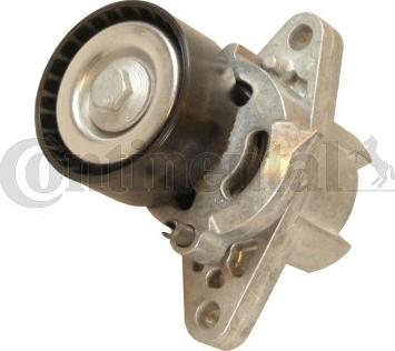 CONTINENTAL V85585 - Galoppino / Guidacinghia, Cinghia Poly-V www.autoricambi360.it