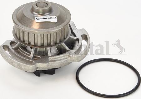 Continental WP6050 - Pompa acqua www.autoricambi360.it