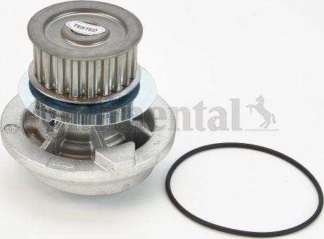 Continental WP6067 - Pompa acqua www.autoricambi360.it