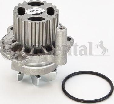 Continental WP6006 - Pompa acqua www.autoricambi360.it
