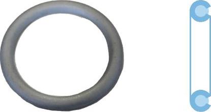 Corteco 005507S - Anello di tenuta, vite di scarico olio www.autoricambi360.it