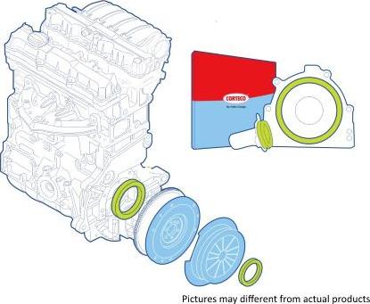Corteco 19134543 - Kit paraolio, Frizione www.autoricambi360.it